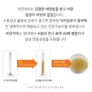 파마넥스 - 강동구 | 다이어터 강추템★ 변비 해결 + 포만감 + 항산화까지 잡았다 I 내돈내산 파마넥스 스타트윈 솔직후기