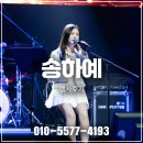 평택데일리헤븐호텔 | 송하예 단독콘서트 진행 후기 : 송하예섭외