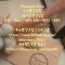 진주강아지분양 고양이분양 미유펫 이미지