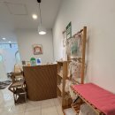 슈슈캣 | [안산] 고양이 무마취 미용 후기｜슈슈캣 네벨룽 1mm 컷 리얼 후기 (+가격, 털갈이, 주의사항)