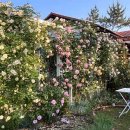 나나펜션 이미지