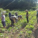 구레울체험마을 이미지