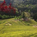 바산목장 이미지