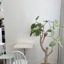 아담이용소 이미지