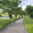 총신대 총장 칼럼 이미지