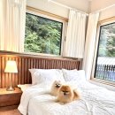 제주 평온스테이 이미지