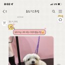 휴도기 그루밍 이미지