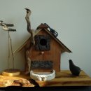 버드하우스 이미지