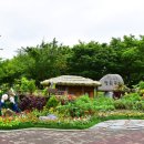 도심공원 이미지