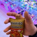 개미노래연습장 이미지