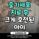 도담동물병원 | 강동동물병원 줄기세포 치료 후 크게 호전된 아이의 이야기 [도담동물병원 강동]