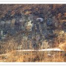 함안 용산리 함안층 새발자국화석 산지 이미지