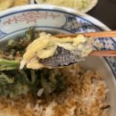 텐푸라바사바사