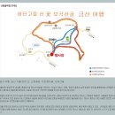 제170차 정기산행 2024.04.14 금산보곡마을 자진뱅이 둘레길 이미지