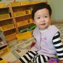 멍멍까까 이미지