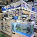 삼척중앙시장 | 삼척 중앙시장 맛집 추천 삼척대왕횟집 후기