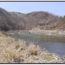 용바위 농원 Daum카페