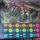 명성산 억새꽃축제 오늘 다녀온 후기, 억새꽃 만개 지금 제일 이쁠 때