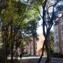 소로3-289 | [세계일주 Here Now D+289] 멕시코시티(Mexco city) 자유여행 3박 4일 중 3일차 멕시코시티 시내 투어...