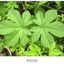 업티어(uptier) 이미지