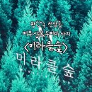 광산구 선암동 피부샵&amp;두피마사지 ‘미라클숲’