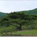 푸른솔농원 이미지