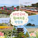 지에스25태안해안점 | 5월 국내여행지 태안 가볼만한곳 태안국제원예치유박람회 기간 (아름여행사)