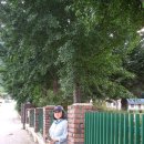 가리왕산가는길 이미지