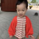 빵댕이넷 이미지