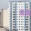 신월동194 이미지