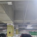 [둔촌동 네일/강동 네일]둔촌동 네일 &#39;포레온 네일&#39; 방문 후기– 세련된 원컬러 네일 &amp; 힐링 뷰티 타임