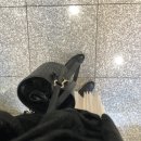 멜리멜로