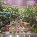 빙상장 횡단보도 | 생일주간 주말을 보냈던 과거 집사의 주말 일상