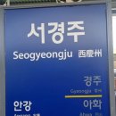 다경길1(서) | ​[해랑 7편] 부산에서 고급진 활어회 정찬 먹고, 천년고도 경주로 떠나다