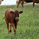 조제농장 이미지