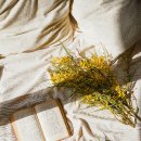 루틴상사 이미지