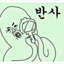 다뽑자 이미지