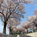 투다리 꽃바위점 | 외투 넣어 말아 눈치 보는 일상