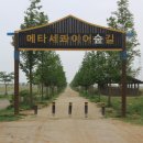 대부해솔길 7-1코스 이미지