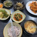 새용인동물약국 이미지