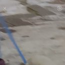 떼굴떼굴 이미지