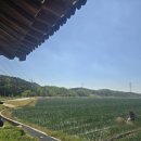장수반점 - 울주군 온산로 695 | 장수반점