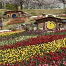소태마을4세천 | 대구 튤립 명소 꽃구경 ‘세천늪테마정원’ 아이랑 가볼만한곳
