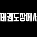 리미태권도장 이미지