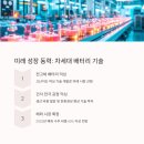 에프엔씨글로벌