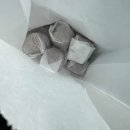 옥룡숲속의아침 이미지