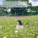 대정읍 매일시장 뒤 | 엄마랑 제주도 여행 3박 4일 일정 제주 효도 관광 코스 가볼만한곳 추천