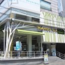 마이코코 이미지