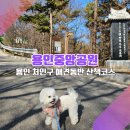 용인중앙공원_M 이미지