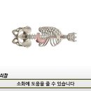메루치 양식장 이미지